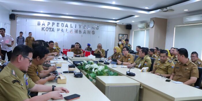 file (2)