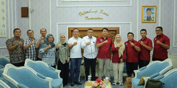 file (6)