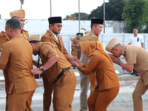 file (13)