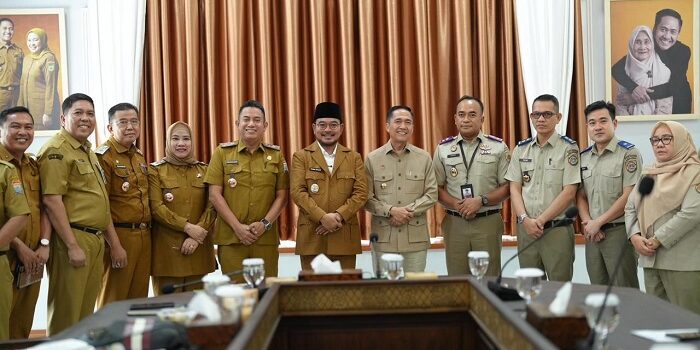 file (49)