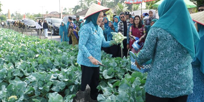 feby deru kunker OKU Timur