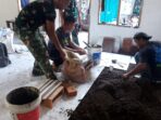IMG-20260801-WA0035
