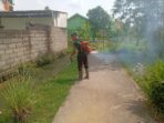 IMG-20260806-WA0056